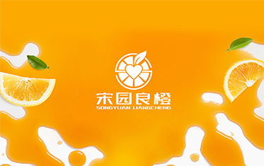 某良橙——石嘴山LOGO设计