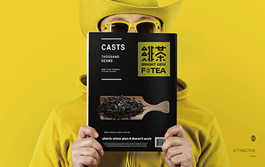 石嘴山绯茶品牌设计